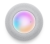 screen  2023-08-15 at 17.45.36