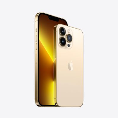 Фото 2 — Смартфон Apple iPhone 13 Pro Max 256GB Золотой