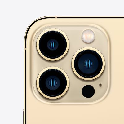 Фото 3 — Смартфон Apple iPhone 13 Pro Max 256GB Золотой